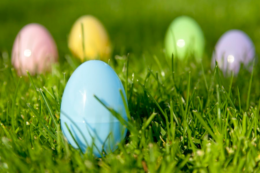 Spring color theme Easter eggs on green grass